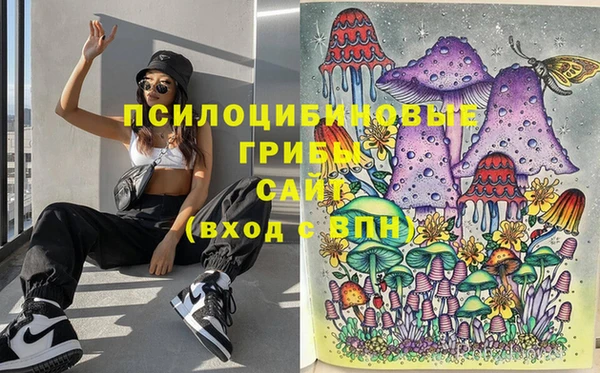 кокс Алексеевка