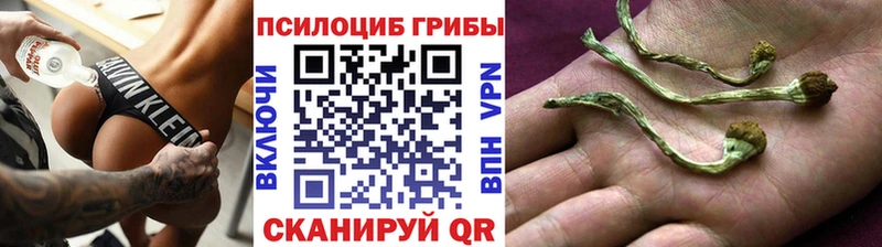 Псилоцибиновые грибы мицелий  Славск 